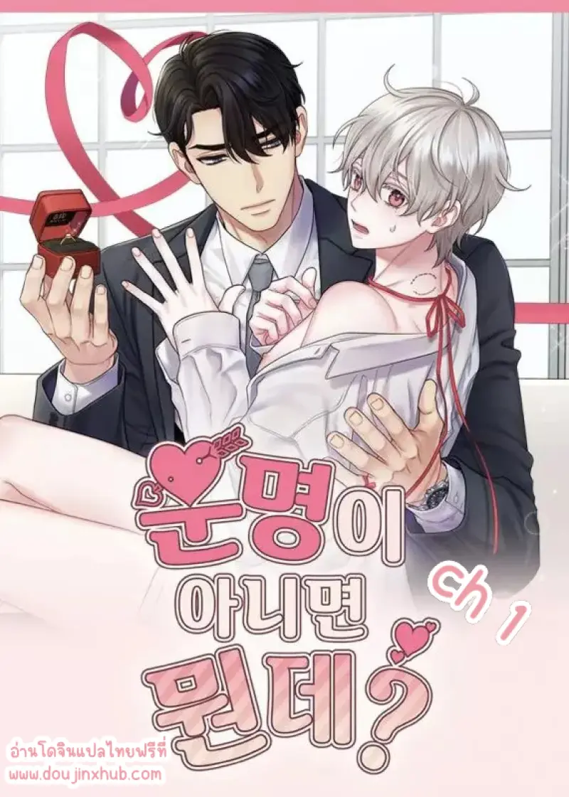 โชคชะตาหรือป่าวน๊า 1