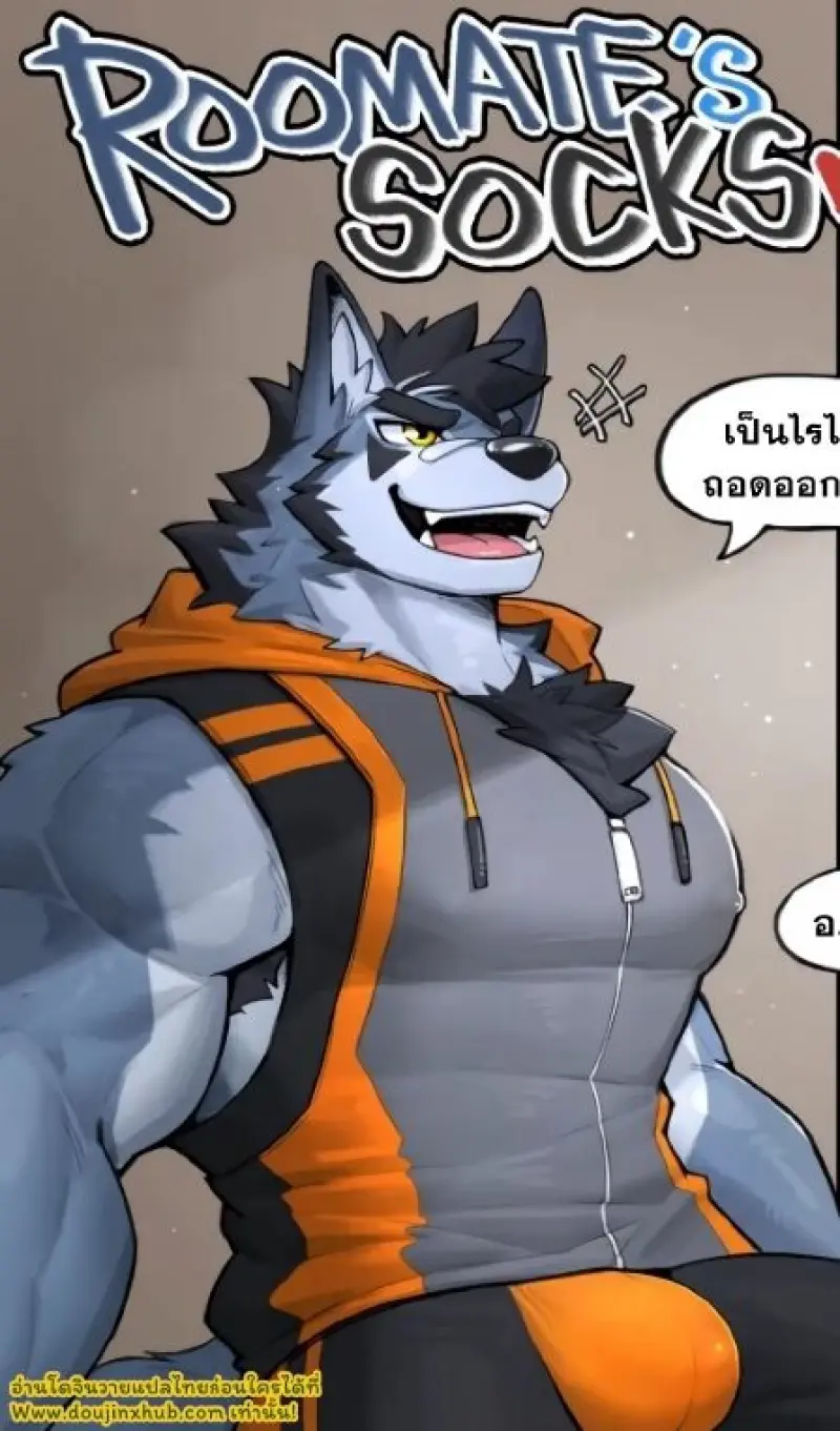 ถุงเท้าของรูมเมต