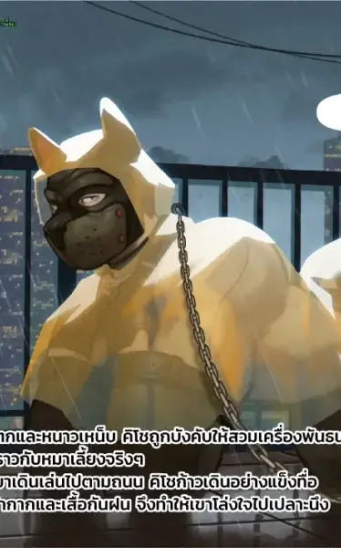 พาหมาเดินเล่น